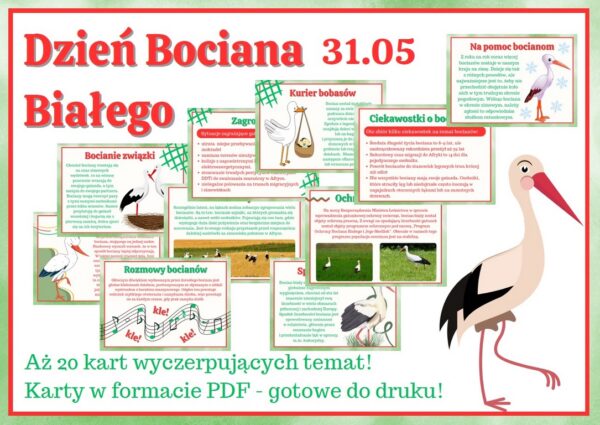 gazetka-szkolna-na-dzien-bociana-bialego