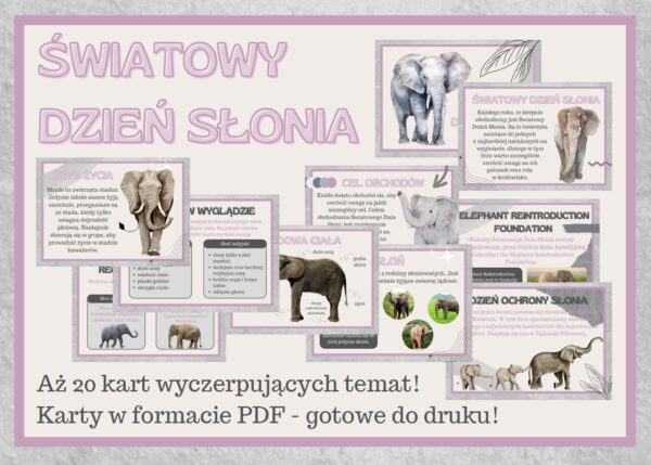 Dzień Słonia - Gazetka szkolna