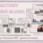 Światowy Dzień Słonia - Gazetka szkolna 2