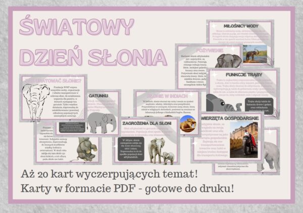 Światowy Dzień Słonia - Gazetka szkolna 2