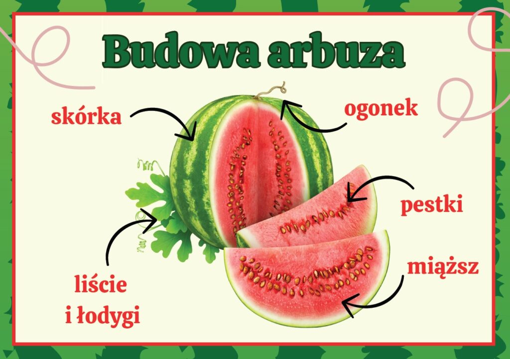 przykladowa karta gazetki szkolnej na dzień arbuza