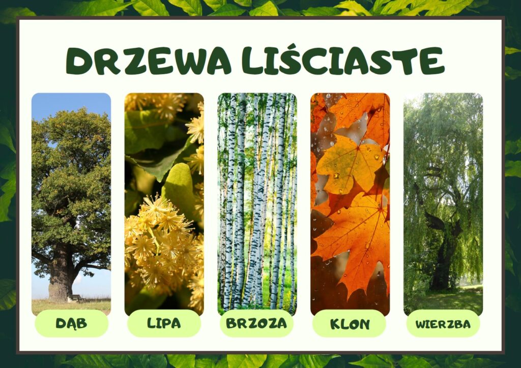 gazetka szkolna na Dzień Drzewa PDF