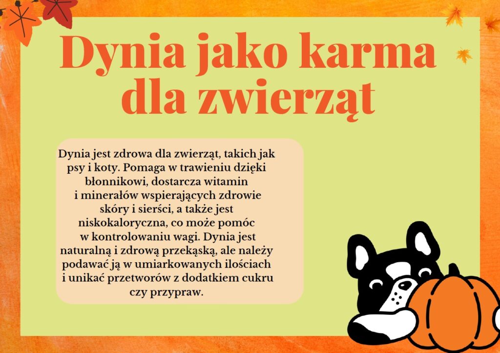 Gazetka szkolna na Dzień Dyni