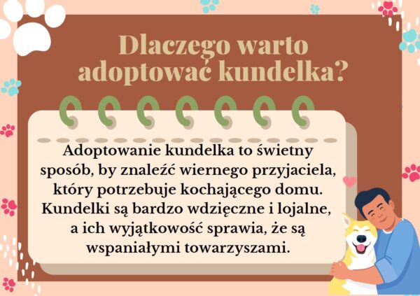 gazetka szkolna na Dzień Kundelka - 3