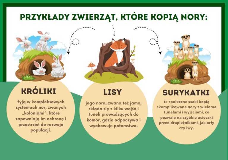 Zwierzęta i ich domy do wydruku - Gazetka szkolna - 2025
