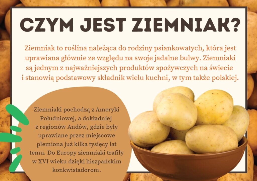 gazetka-szkolna-na-dzien-ziemniaka