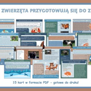 Jak zwierzęta przygotowują się do zimy - Gazetka szkolna