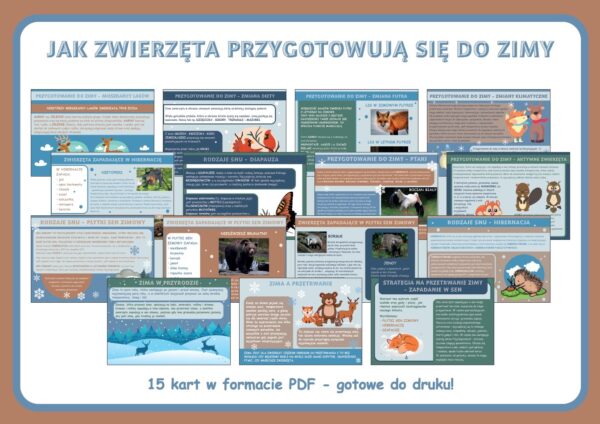 Jak zwierzęta przygotowują się do zimy - Gazetka szkolna