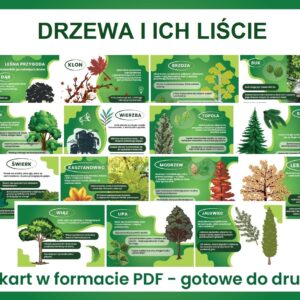 drzewa-i-ich-liście-gazetka-szkolna-do-druku