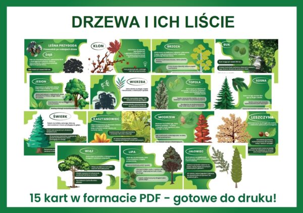 drzewa-i-ich-liście-gazetka-szkolna-do-druku