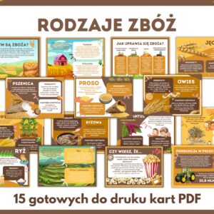 rodzaje-zboz-gazetka-szkolna-do-druku