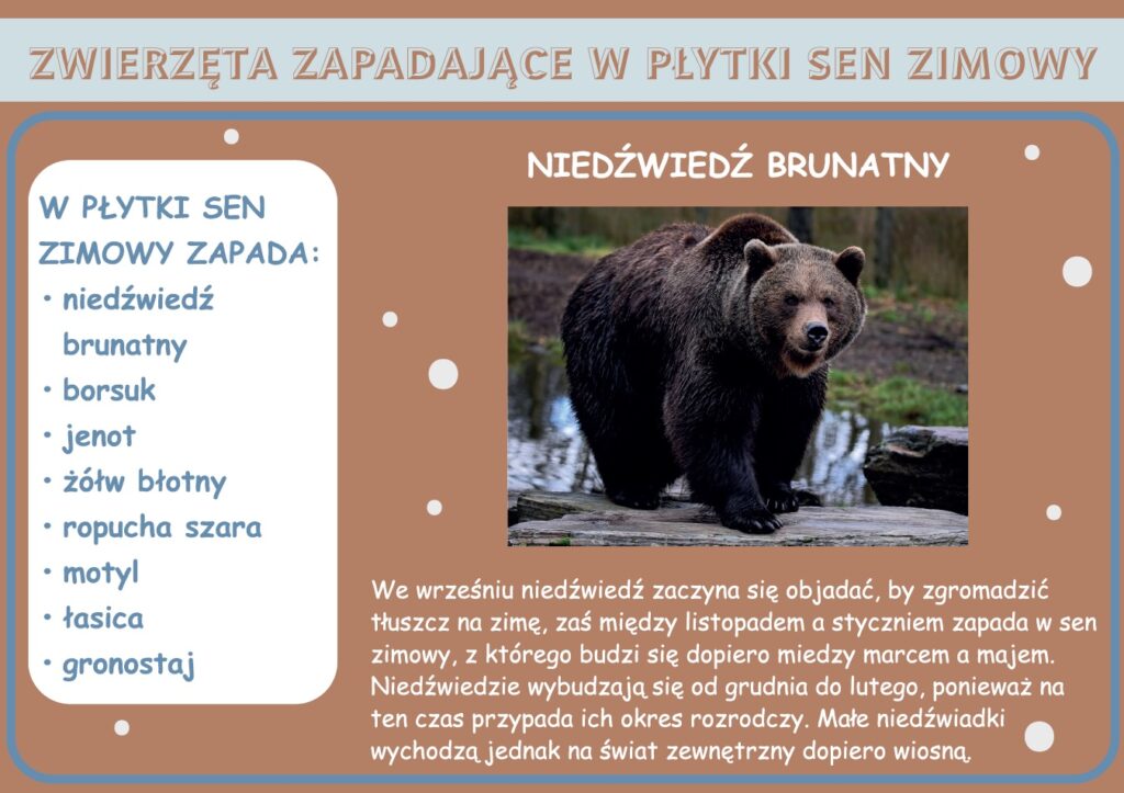 zwierzęta zimą - gazetka szkolna do druku pdf