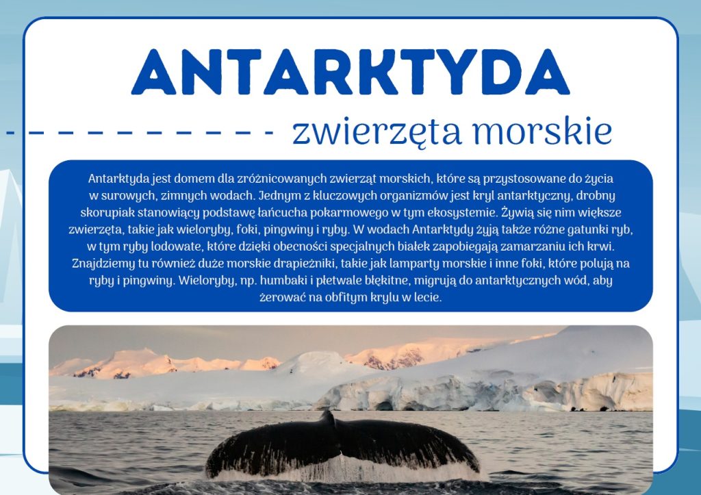 Arktyka i Antarktyda - Gazetka szkolna do druku - 2025