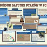 zagrozone-gatunki-ptakow-w-polsce-gazetka-szkolna