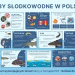ryby-slodkowodne-w-polsce-gazetka-szkolna-pdf