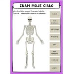 karta-pracy-znam-swoje-ciało