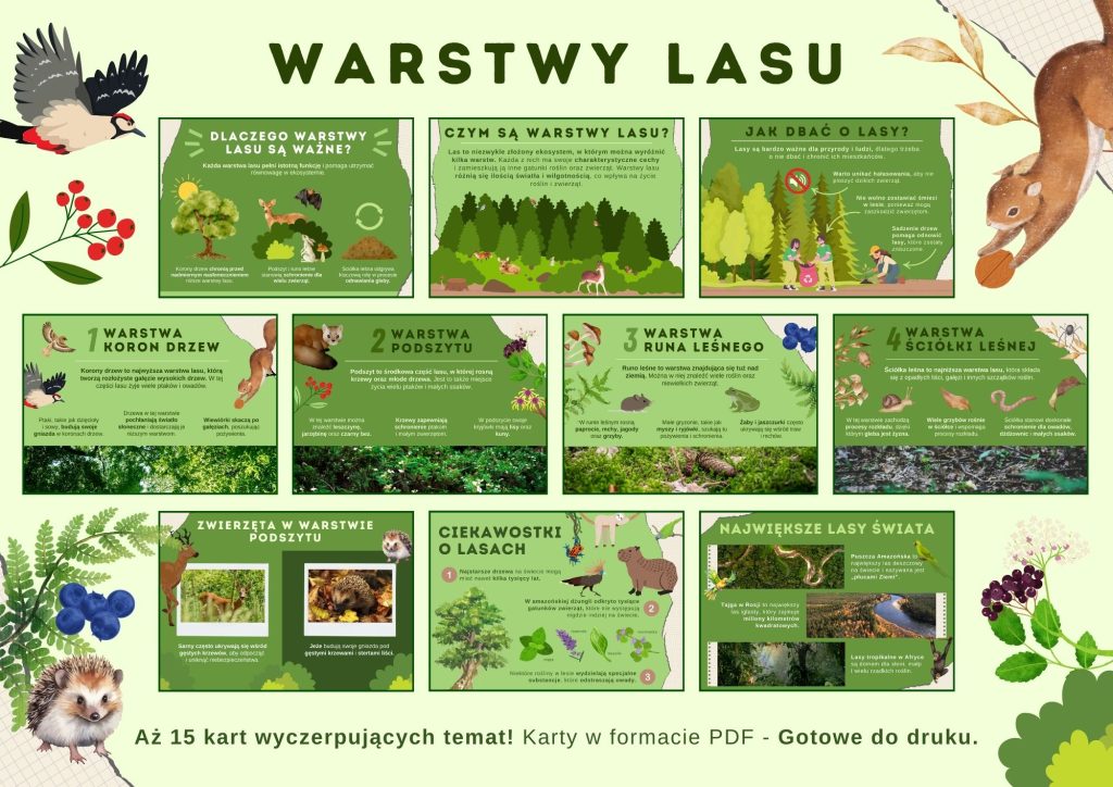 Warstwy lasu - gazetka szkolna do druku - 2025