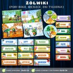 grupa-zolwiki-pory-roku-miesiace-dni-tygodnia-kalendarz