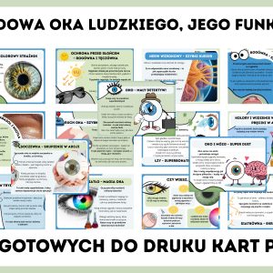 budowa-oka-ludzkiego-i-jego-funkcje-gazetka-szkolna
