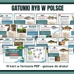 gatunki-ryb-w-polsce-gazetka-szkolna
