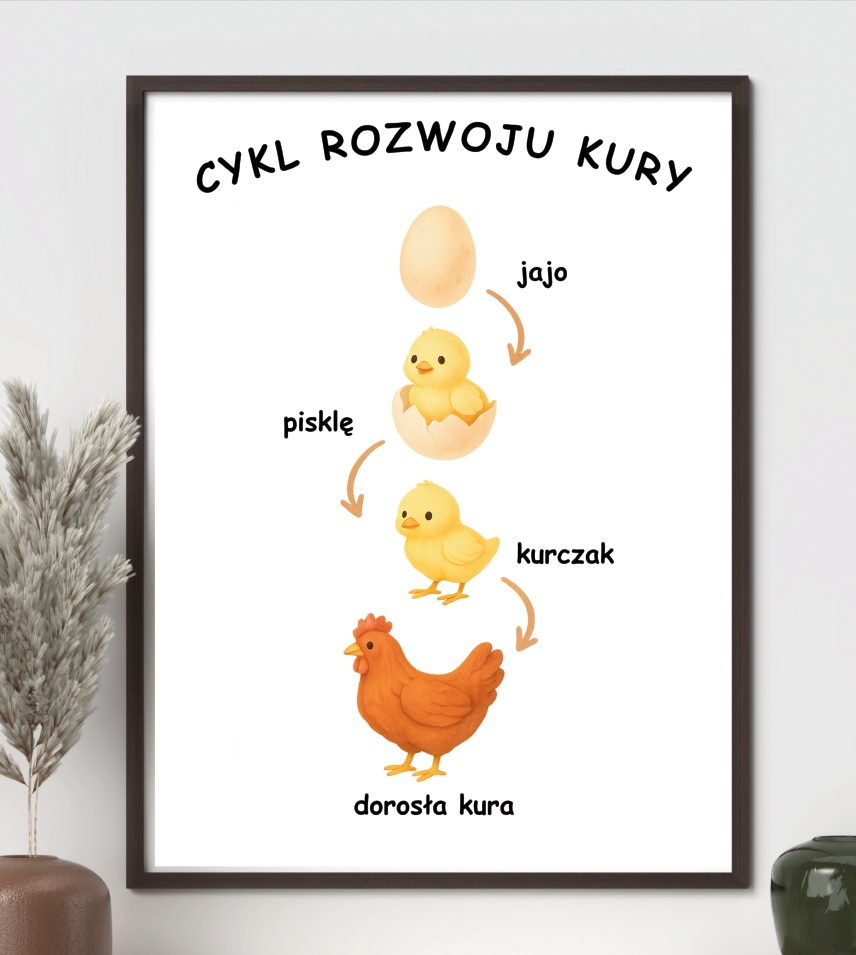 Plakat Cykl Rozwoju Kury Do Druku PDF 2026 plakat-cykl-rozwoju-kury-do-druku-pdf-2026