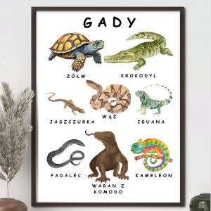plakat-gady-do-druku-pdf