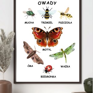 plakat-owady-do-druku-pdf