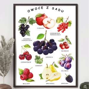 plakat-owoce-z-sadu-do-druku-pdf