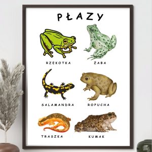 plakat-plazy-do-druku-pdf