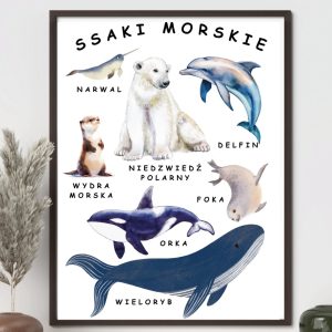 plakat-ssaki-morskie-do-druku-pdf