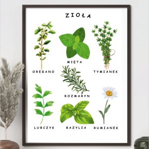 plakat-ziola-do-druku-pdf