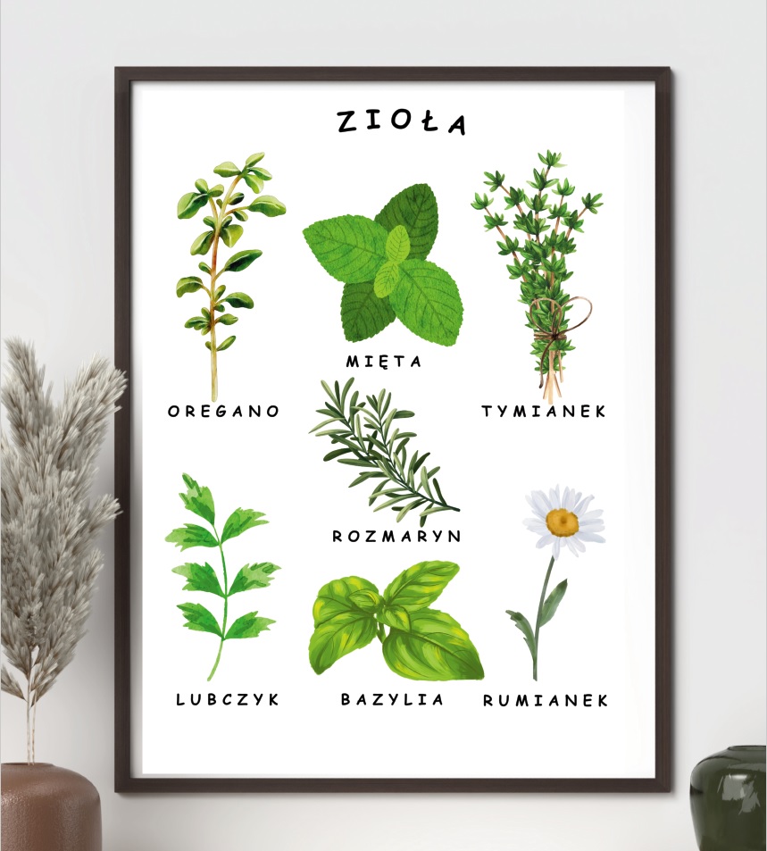 plakat-ziola-do-druku-pdf