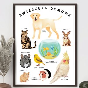 Plakat – Zwierzęta domowe – do druku PDF