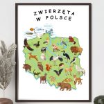 plakat-zwierzeta-w-polsce-do-druku-pdf