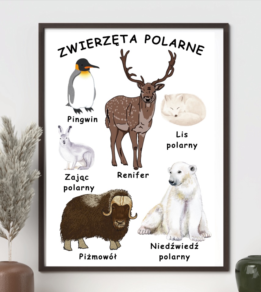 Plakat – Zwierzęta polarne – do druku PDF