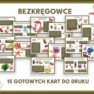 Bezkręgowce - gazetka szkolna