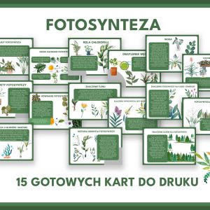 fotosynteza-gazetka-szkolna-pdf