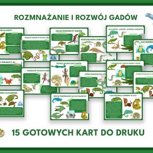 Gady – gazetka szkolna