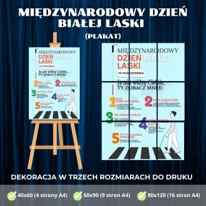 miedzynarodowy-dzien-bialej-laski-plakat-w-3-rozmiarach-5-krokow (4)