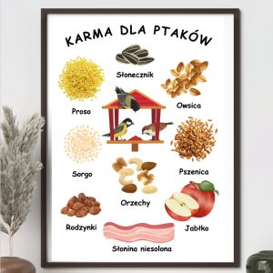 plakat-karma-dla-ptakow-do-druku-pdf