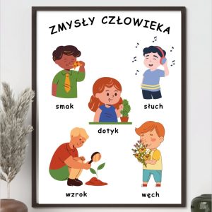 plakat-zmysly-czlowieka-do-druku-pdf