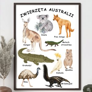 plakat-zwierzeta-australii-do-druku-pdf