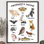 plakat-zwierzeta-nocne-do-druku-pdf