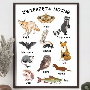 plakat-zwierzeta-nocne-do-druku-pdf