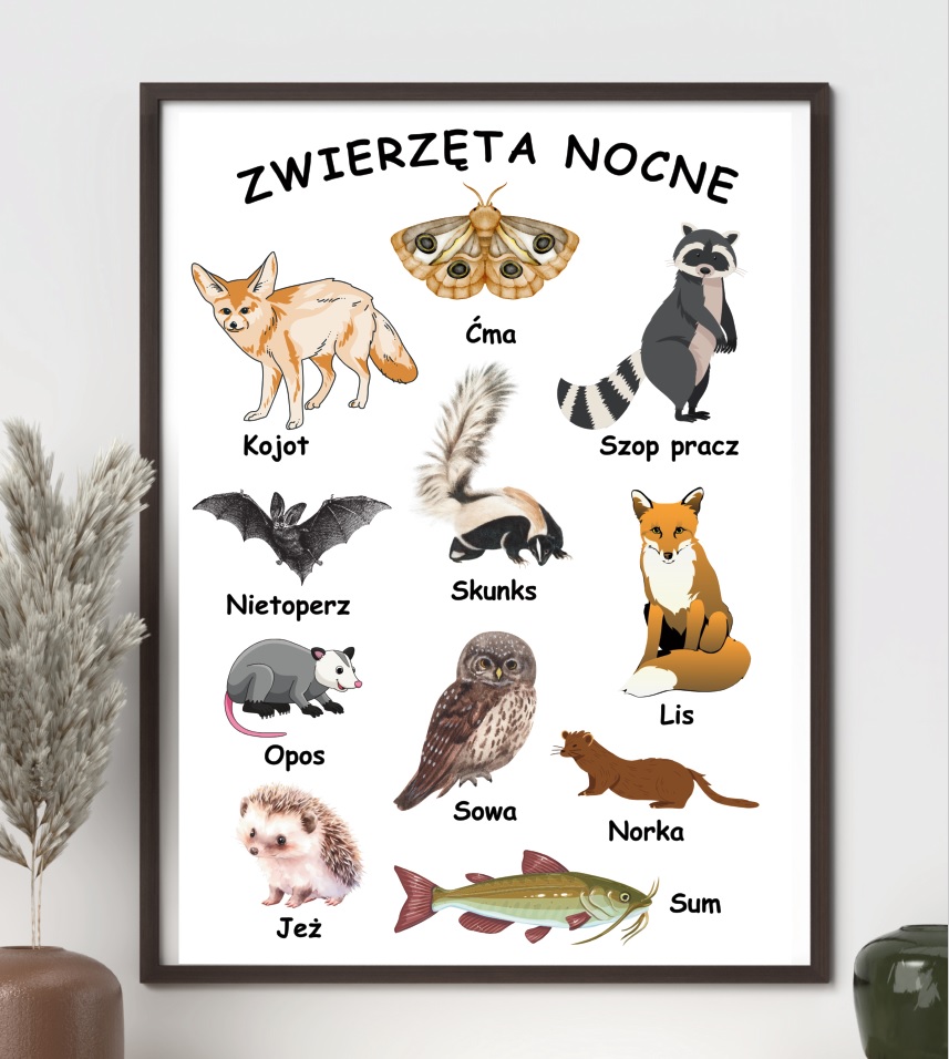plakat-zwierzeta-nocne-do-druku-pdf