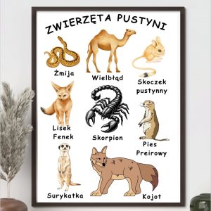 plakat-zwierzeta-pustyni-do-druku-pdf