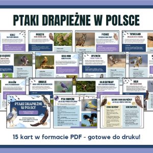 Ptaki drapieżne w Polsce - gazetka