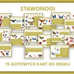 stawonogi-gazetka-szkolna-pdf