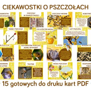 ciekawostki-o-pszczolach-gazetka-szkolna