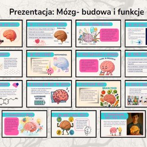 mozg-budowa-i-funkcje-gazetka-szkolna